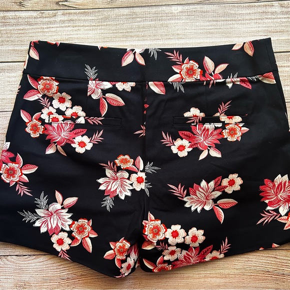 LOFT Riviera Shorts NWT 2***MAKE OFFER!!!!!! - Picture 5 of 5